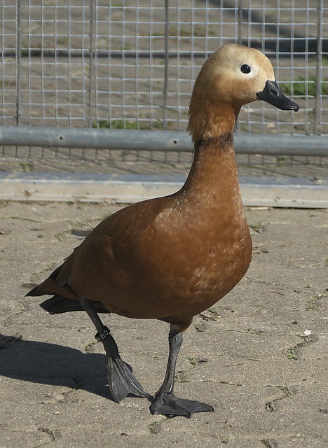 完全掌控