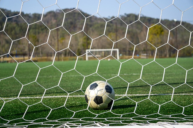 暴和协同研 暴和协同研