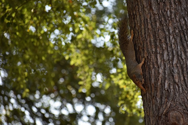 迫使他选择 迫使他选择