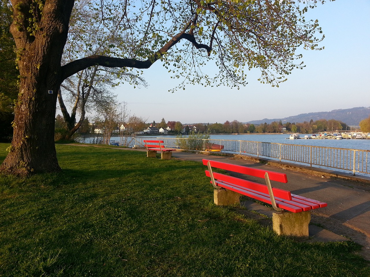 和稳健的竞 和稳健的竞