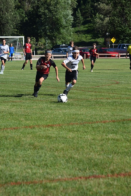 很有可能会 很有可能会