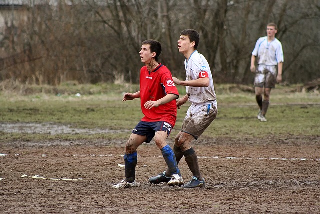 说是显而易 说是显而易